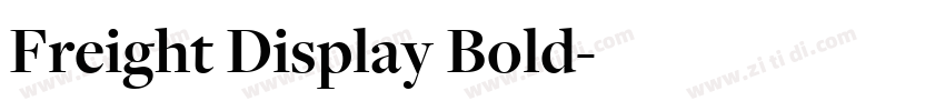 Freight Display Bold字体转换